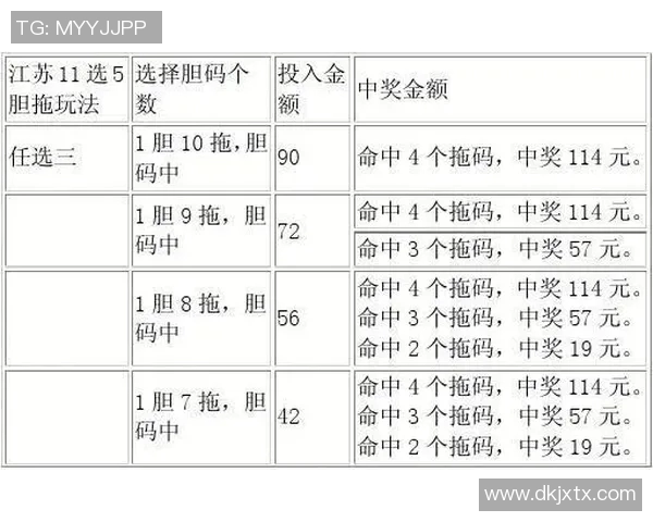 全面解析竞彩网首页计算器的功能与使用技巧助您轻松掌握投注策略